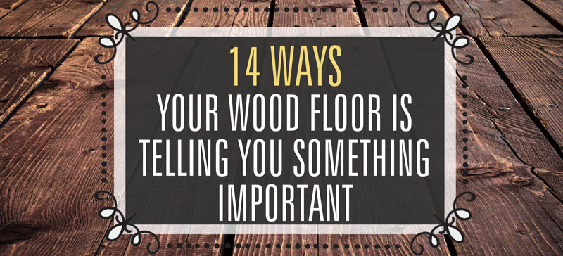 14 important ways in which your wood floor is trying to tell you something
