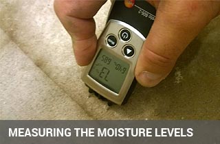 Measuring the moisture with damp metre