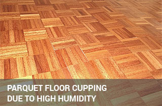 Parquet blocks damaged due to high humidity environment