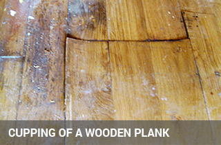Cupping of a wooden plank