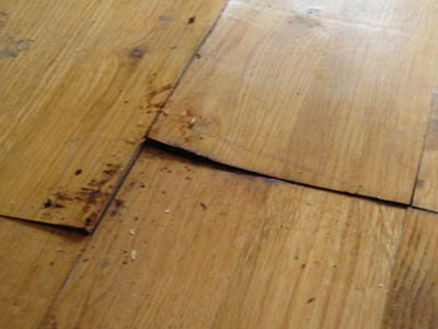 Water-damaged wood floor repair