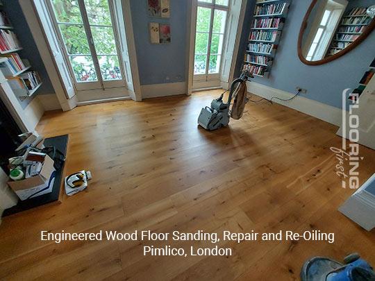 Engineered wood floor sanding, repair and re-oiling in Pimlico