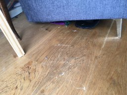 Engineered Wood Sanding and Restoration in E9 in Homerton