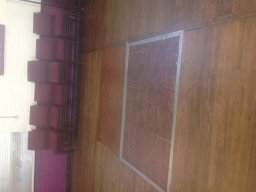 Hardwood Sanding and Restoration in SE9