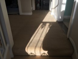 Parquet Sanding and Restoration in Orpington, BR5 in Orpington