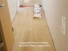 Engineered wood floor installation in Alexandra Palace 2