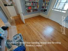 Engineered wood floor sanding, repair and re-oiling in Pimlico 6