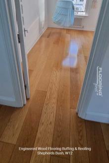 Engineered wood flooring buffing & reoiling in Shepherds Bush 8