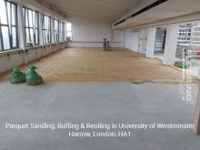 Parquet sanding, buffing & reoiling in Harrow 3