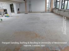Parquet sanding, buffing & reoiling in Harrow 5