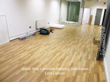 QuickStep Laminate Flooring Installation in East London 5