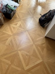 Scratches on Versailles Panels