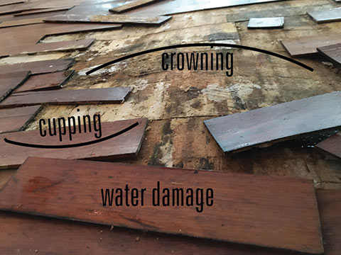 Crowning and cupping due to water damage on wood floors