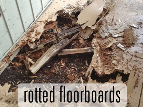 Rotting floorboards