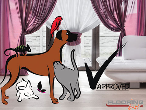 Trimming pet claws will protect the floor surface from scratches | FlooringFirst! Trimming pet claws will protect the floor surface from scratches