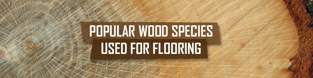 Wood species used for flooring