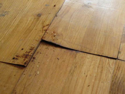 Water-damaged wood floor repair | FlooringFirst! Water-damaged wood floor repair