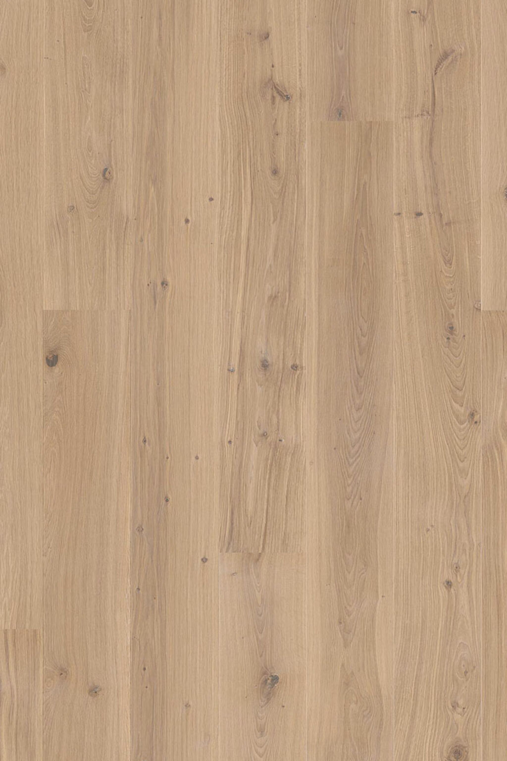 Boen Animoso Oak Engineered Flooring, White, Live Natural Oiled, Rustic, 14x181x2200mm