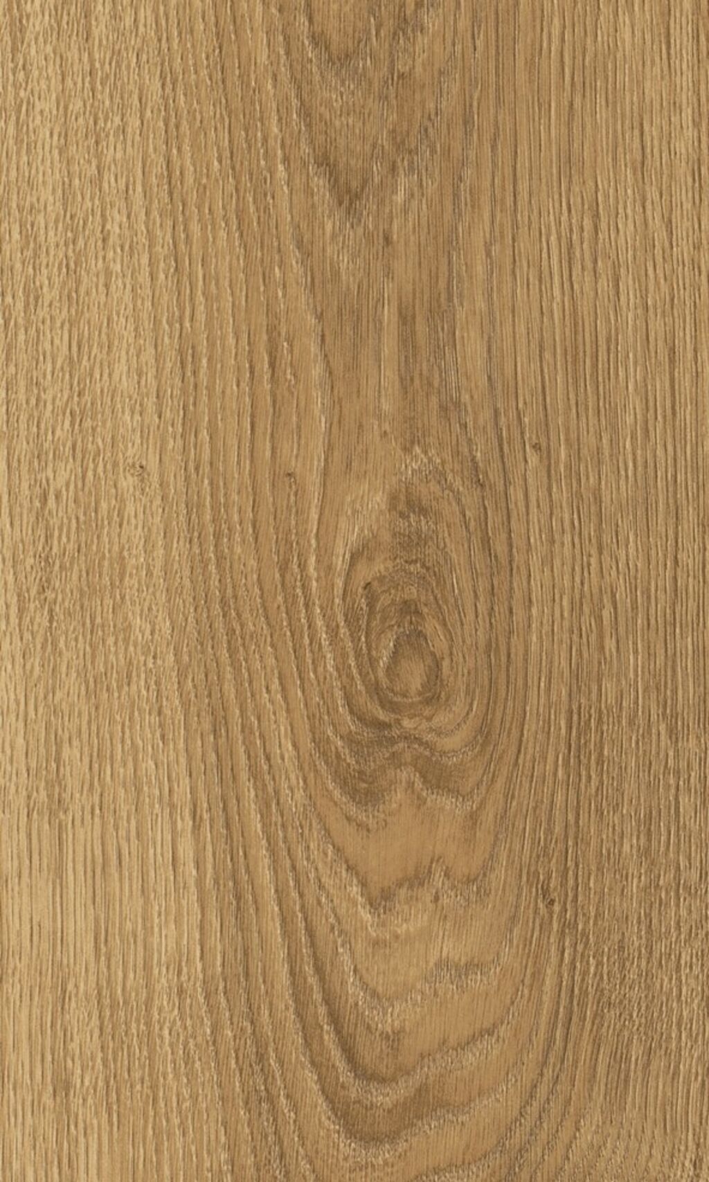 Woodland Glenmore Oak Laminate Flooring, 8mm