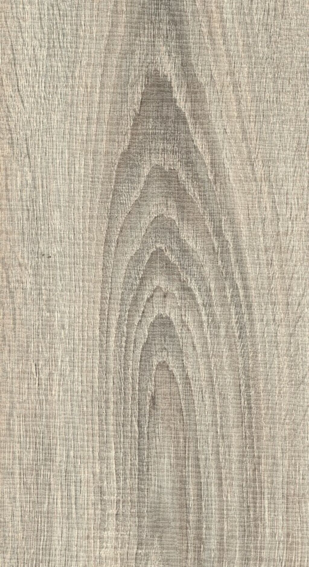 Woodland Wyre Oak Laminate Flooring, 8mm