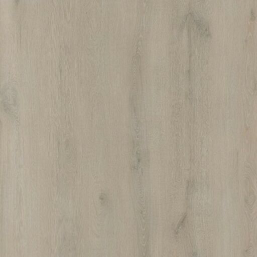 Tradition BML XL Titan Latte Oak SPC Rigid Vinyl Flooring, 228x6.5x1524mm Thumb