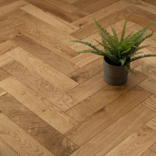Evergreen Warwick Engineered Oak Flooring, Herringbone, Oiled, 100x18x500mm