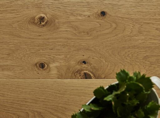 Tradition Nature Engineered Oak Halston Range, Brushed, UV Oiled 190x20x1900mm Thumb