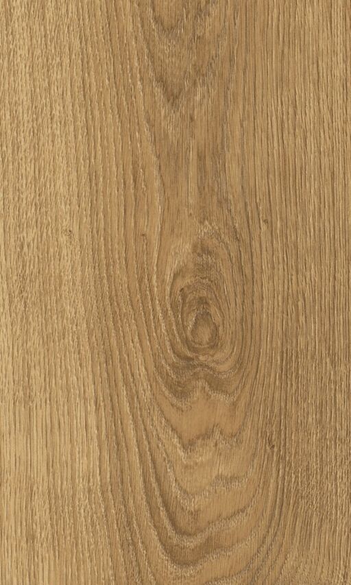 Woodland Glenmore Oak Laminate Flooring, 8mm