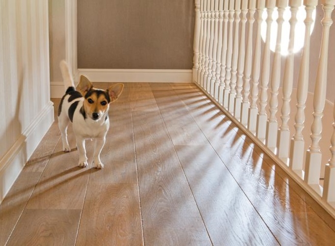 Tradition Classics Petrus Engineered Oak Flooring, Smoked, Oiled, 220x21x2200mm Image