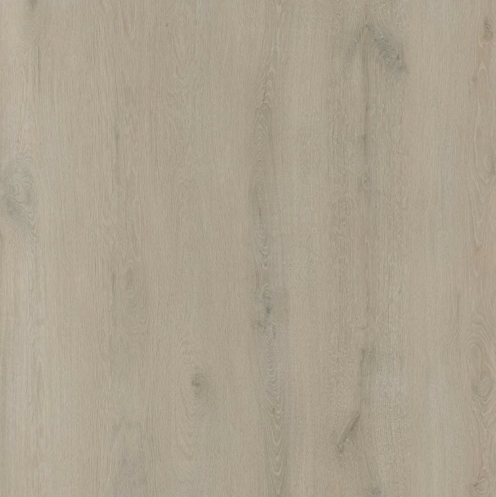 Tradition BML XL Titan Latte Oak SPC Rigid Vinyl Flooring, 228x6.5x1524mm Image