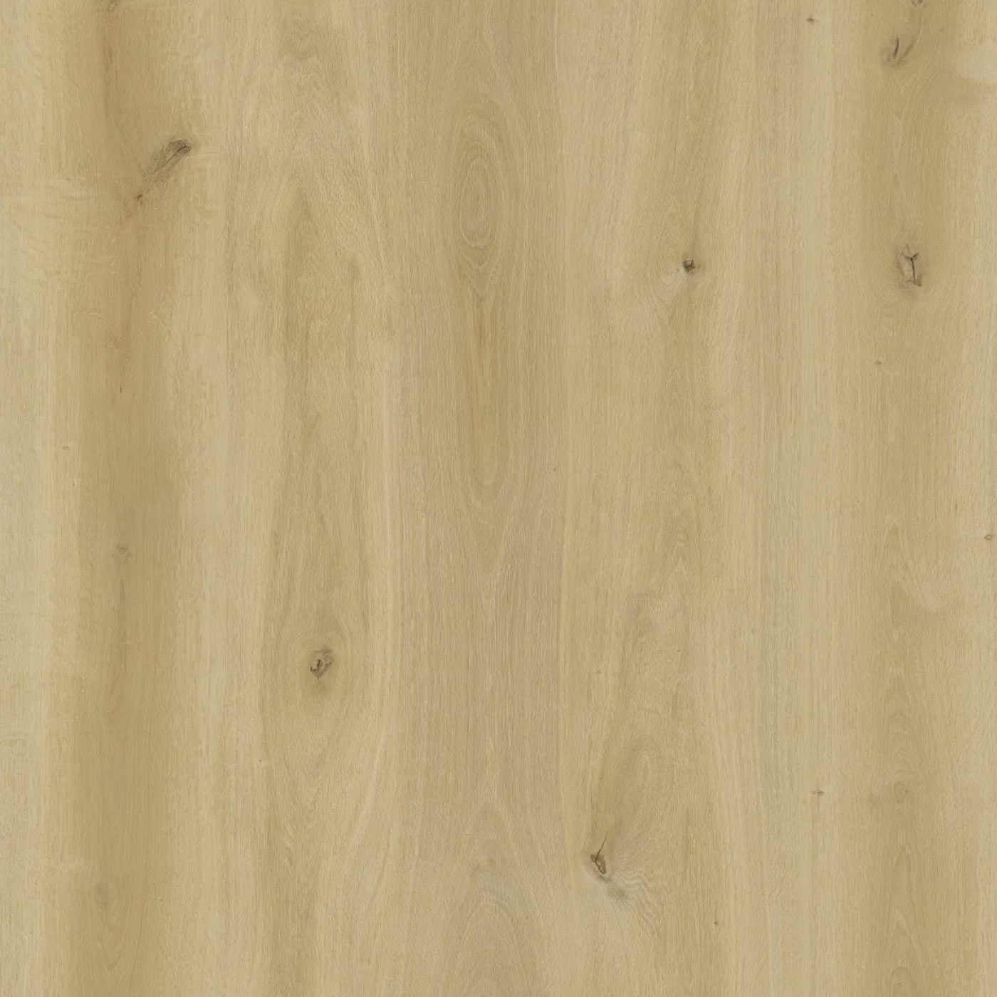 Tradition Eco Line Creamy Oak SPC Rigid Vinyl Flooring, 181x5.2x1220mm Image