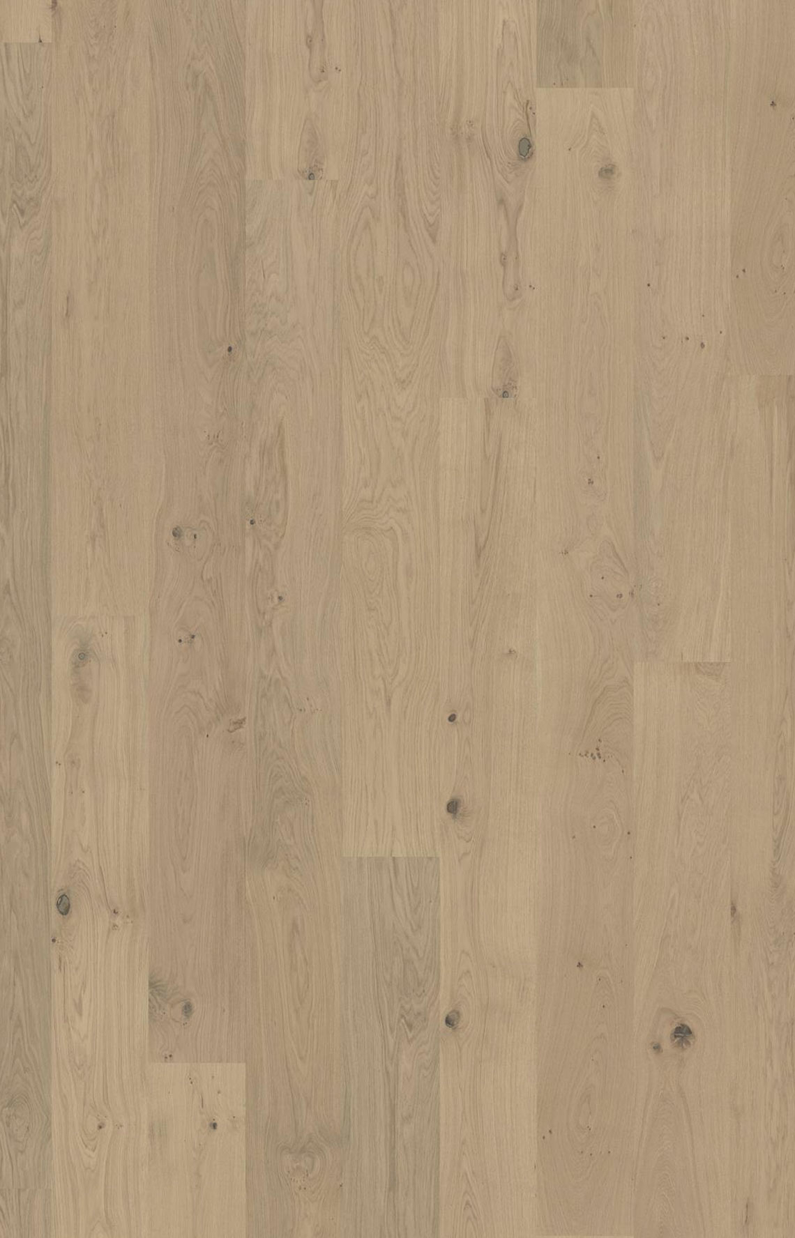 Kahrs Sand Brighton Oak Engineered 1-Strip Wood Flooring, Matt Lacquered, 187x15x2266mm Image