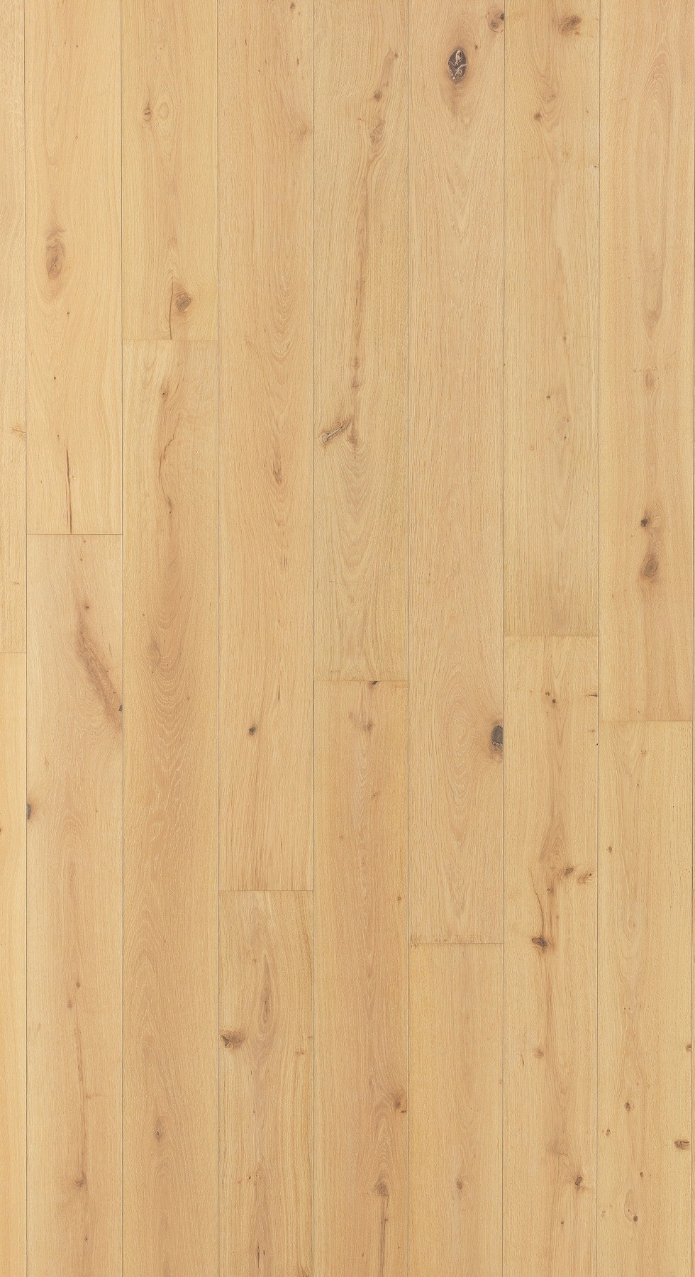 Tradition Classics Piemonte Engineered Oak Flooring, Brushed, Whitewashed and White Oiled, 190x15x1900mm Image
