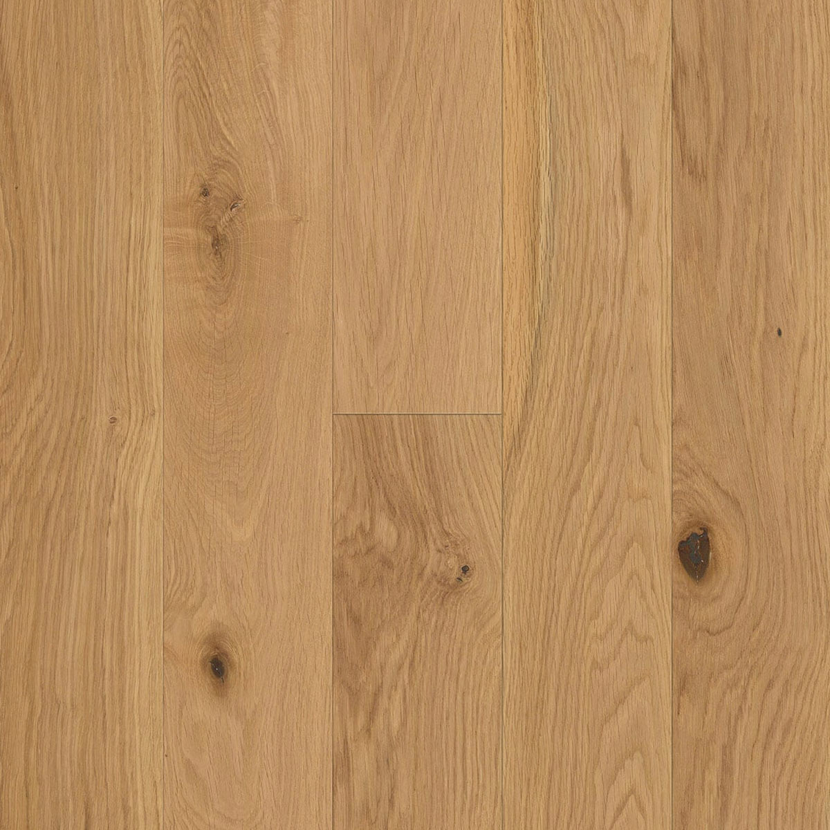 V4 Alpine, Upland Oak Engineered Flooring, Rustic, Brushed, UV Oiled, 150x14x1900mm Image