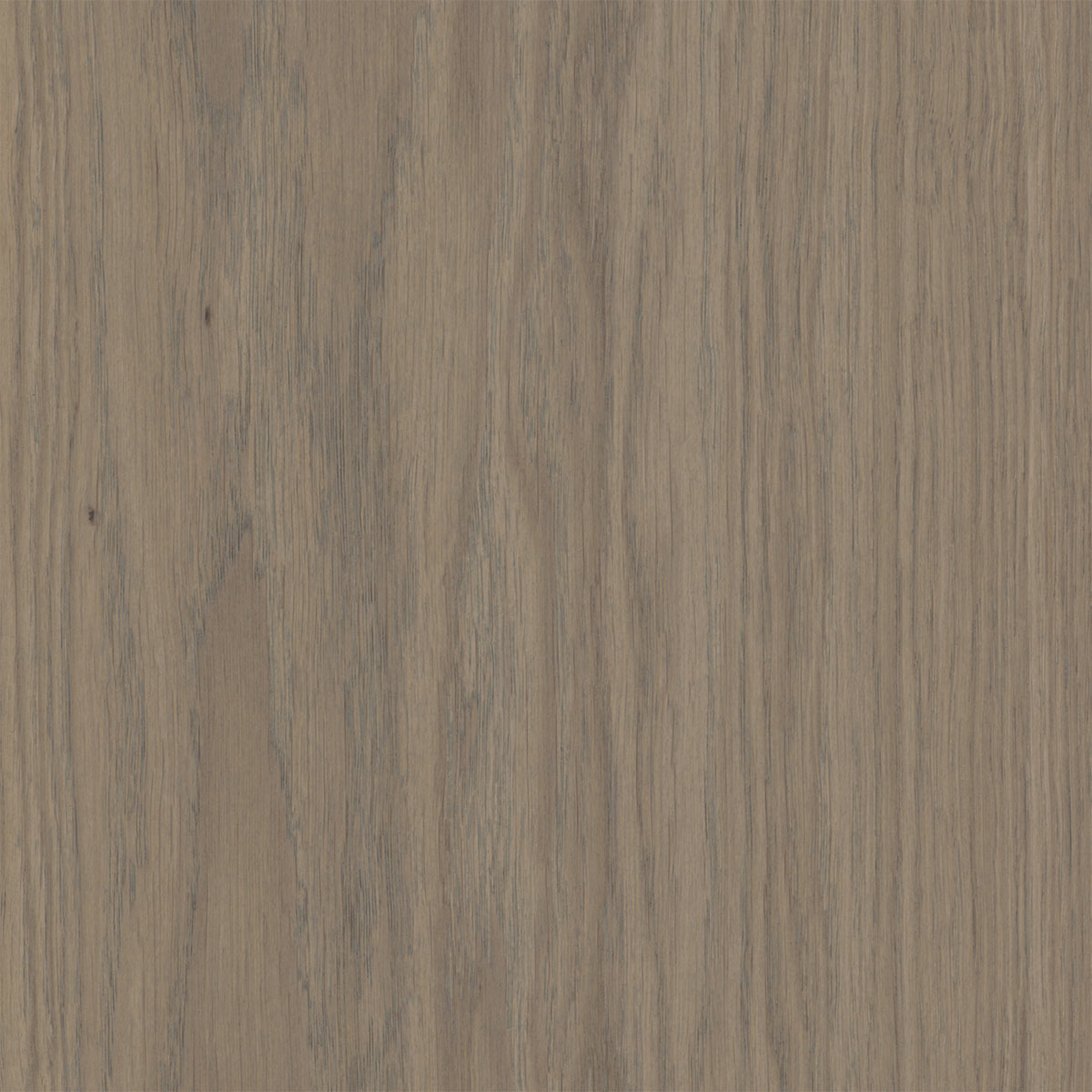 V4 Bjelin, Earth Grey Oak Engineered Flooring, Natural, Stained, Brushed & UV Lacquered, 206x11.3x2200mm Image